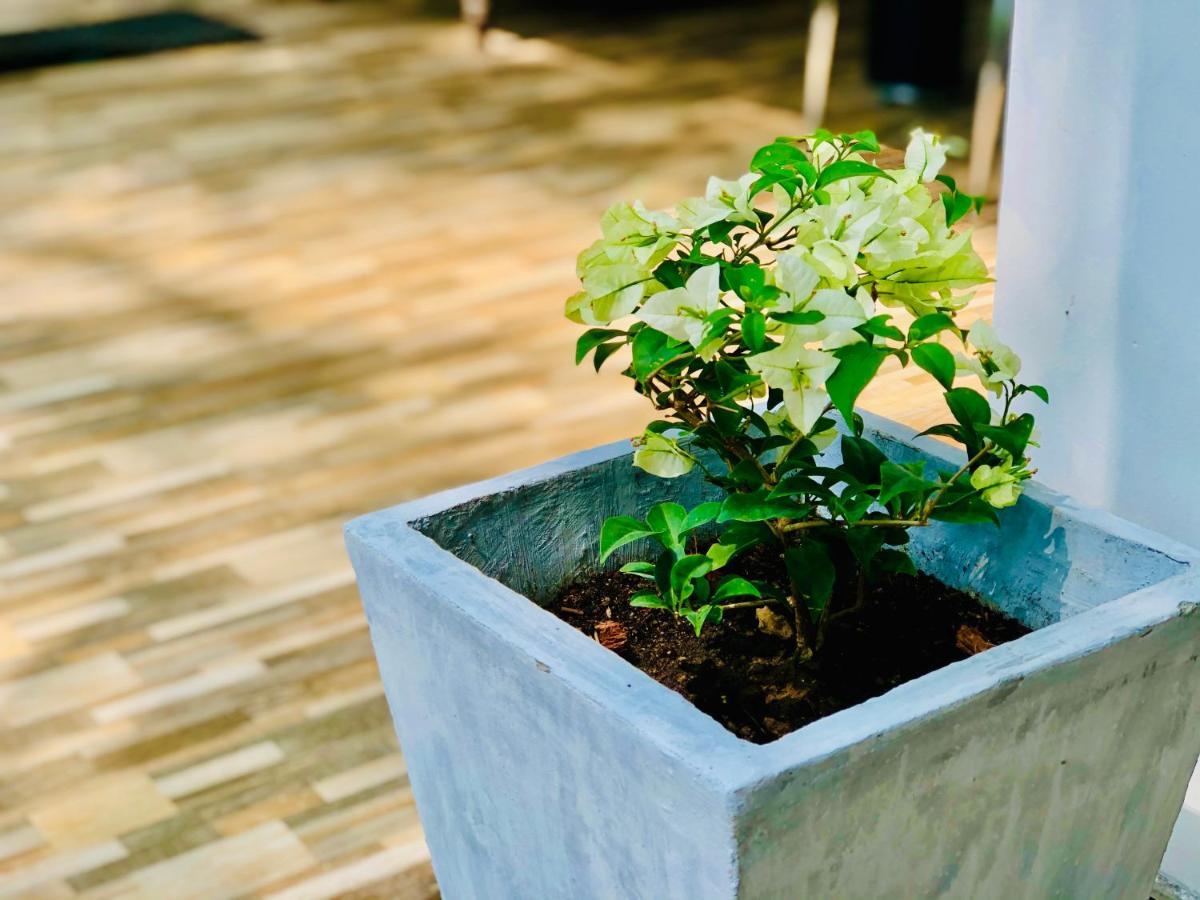 Siri'S Residency Apartman Habaraduwa Central Kültér fotó